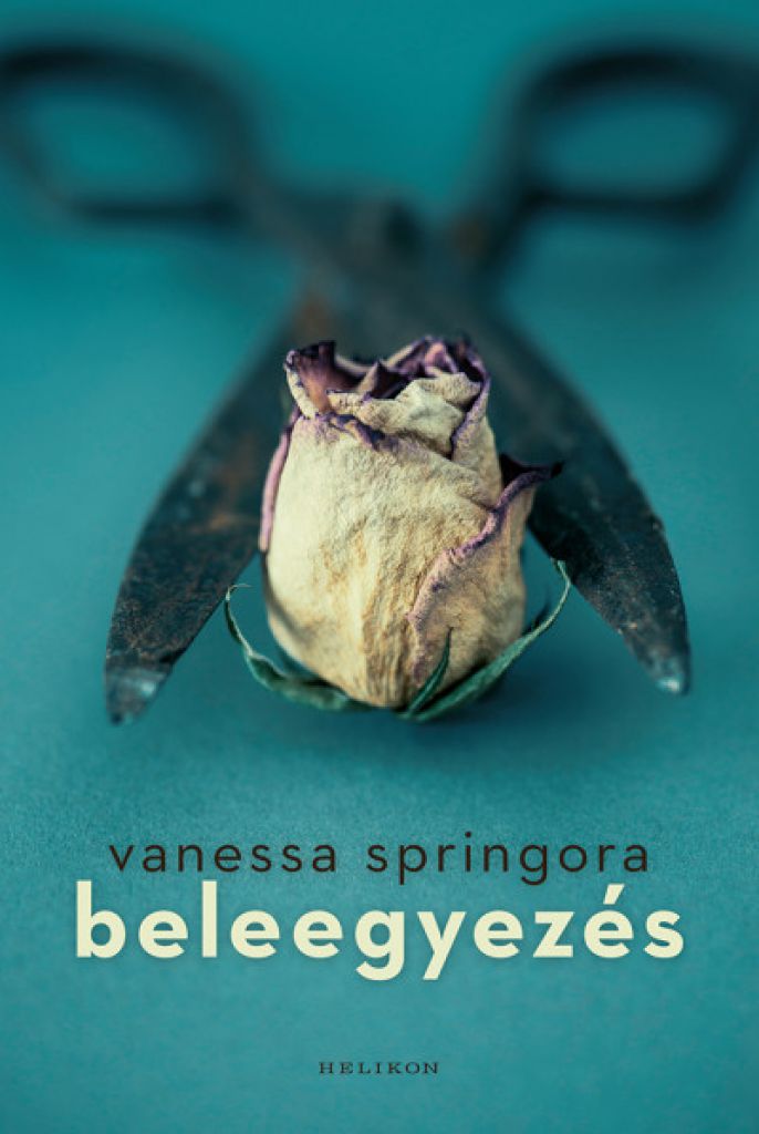 Beleegyezés
