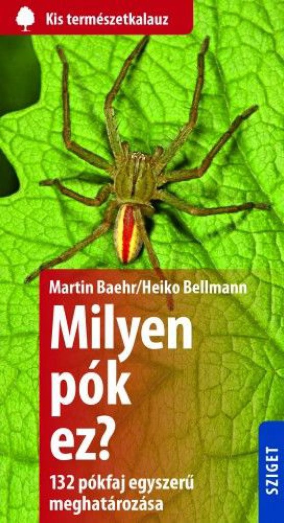 Milyen pók ez? - 132 pók egyszerű meghatározása