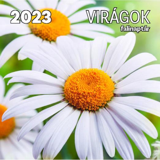 Virágok falinaptár - 2023