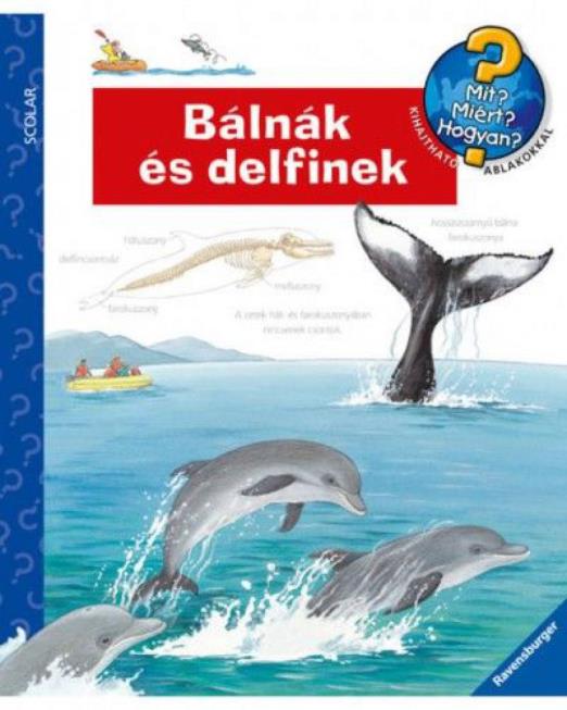 Bálnák és delfinek