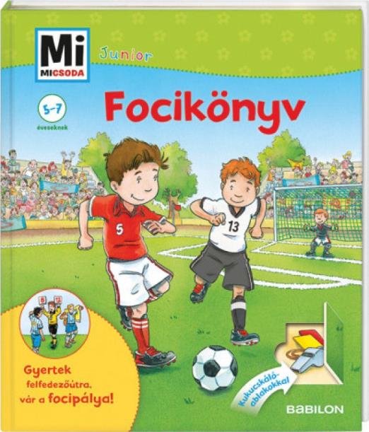Focikönyv - Mi Micsoda Junior 6.