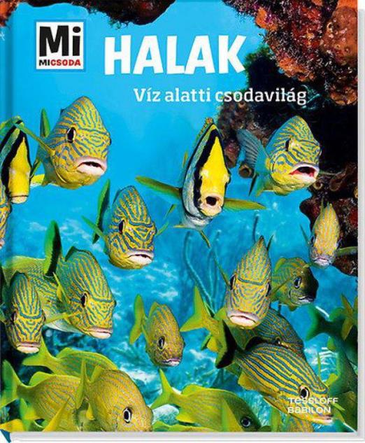 Halak - Víz alatti csodavilág