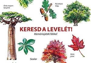 Keresd a levelét! - Memóriajáték fákkal