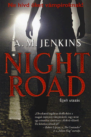 Night road - éjjeli utazás