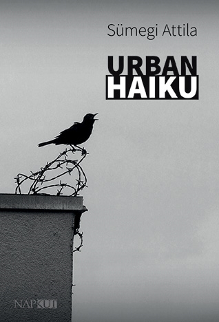 Urban haiku