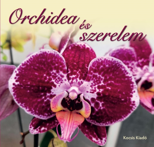 Orchidea és szerelem