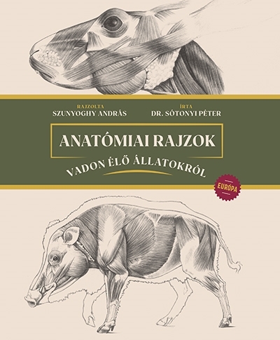 Anatómiai rajzok vadon élő állatokról - Európa