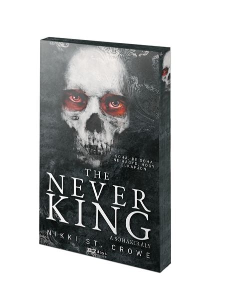 The Never King - A Sohakirály - Éldekorált