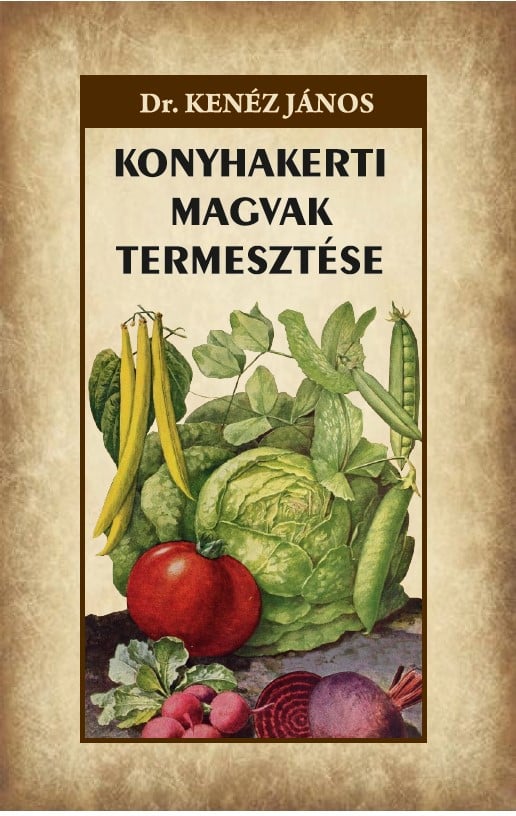 Konyhakerti magvak termesztése