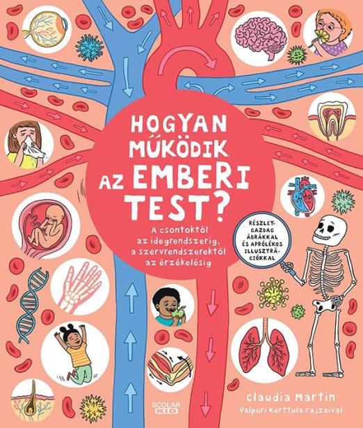 Hogyan működik az emberi test?