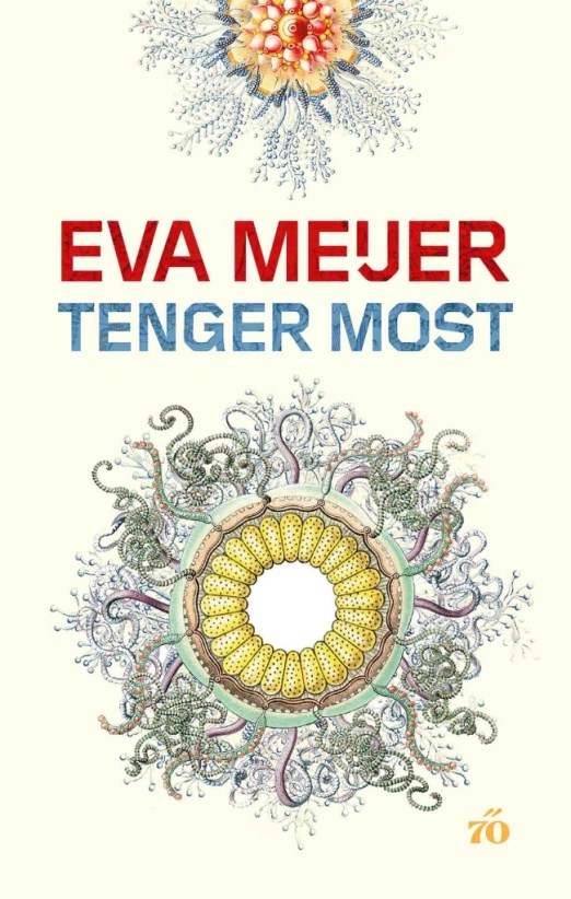 Tenger Most