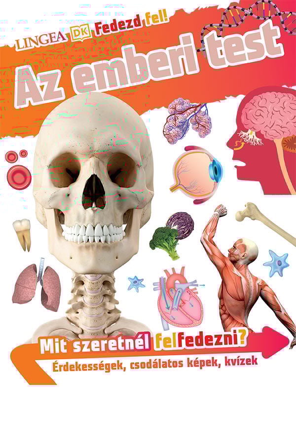Fedezd fel! - Az emberi test