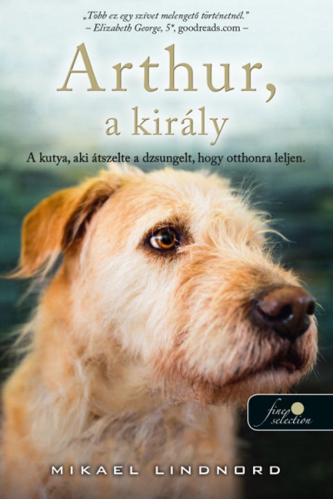 Arthur, akirály - a kutya, aki átszelte a dzsungelt, hogy otthonra leljen