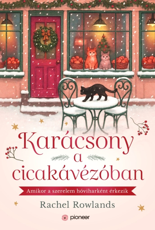 Karácsony a cicakávézóban