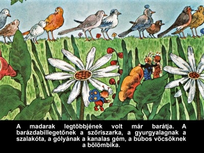 A nagyravágyó feketerigó - Diafilm