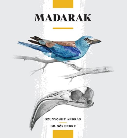 Madarak