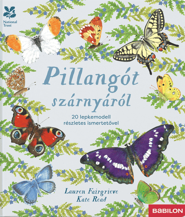 Pillangót szárnyáról – 20 lepkemodell részletes ismertetővel