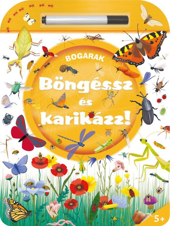 Böngéssz és karikázz! - Bogarak