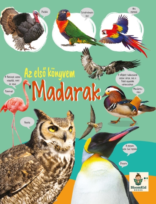 Az első könyvem: Madarak