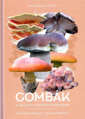 Gombák a magyar néphagyományban