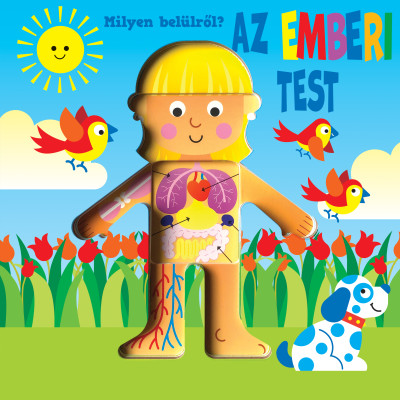 Milyen belülről - Az emberi test