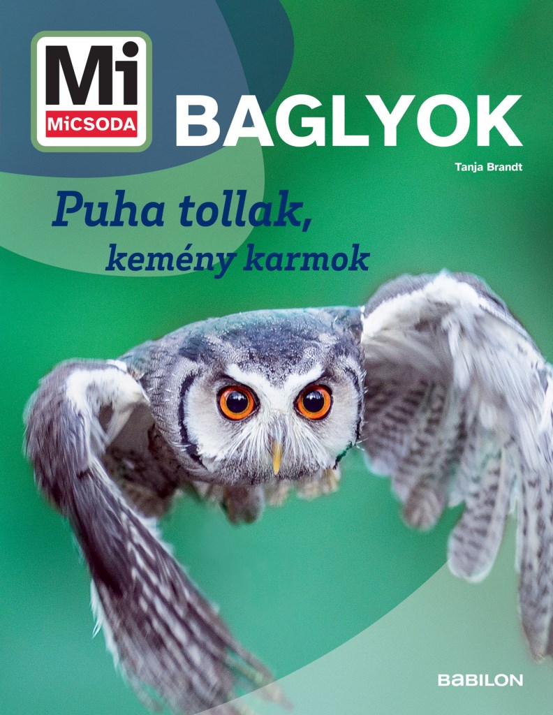 Mi MICSODA Baglyok