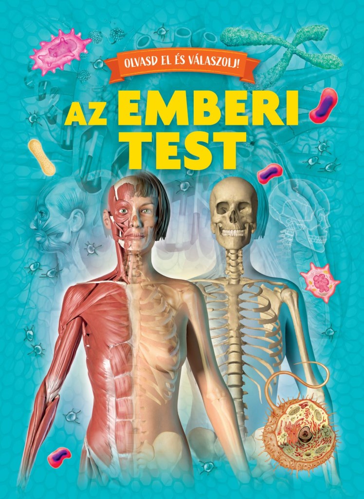 Olvasd el és válaszolj! - Az emberi test