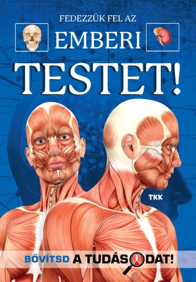 Fedezzük fel a csodálatos emberi testet!