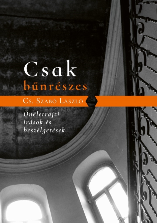 Csak bűnrészes