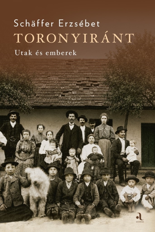 Toronyiránt