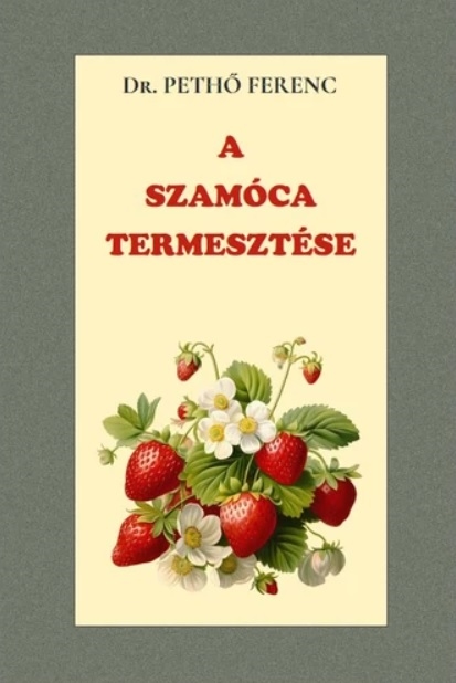 A szamóca termesztése