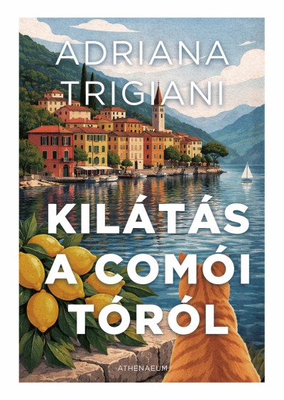 Kilátás a Comói-tóról