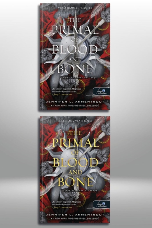 The Primal of Blood and Bone - A Vér és Csont Ősi Lénye (I-II. kötet) - Vér és hamu 6.